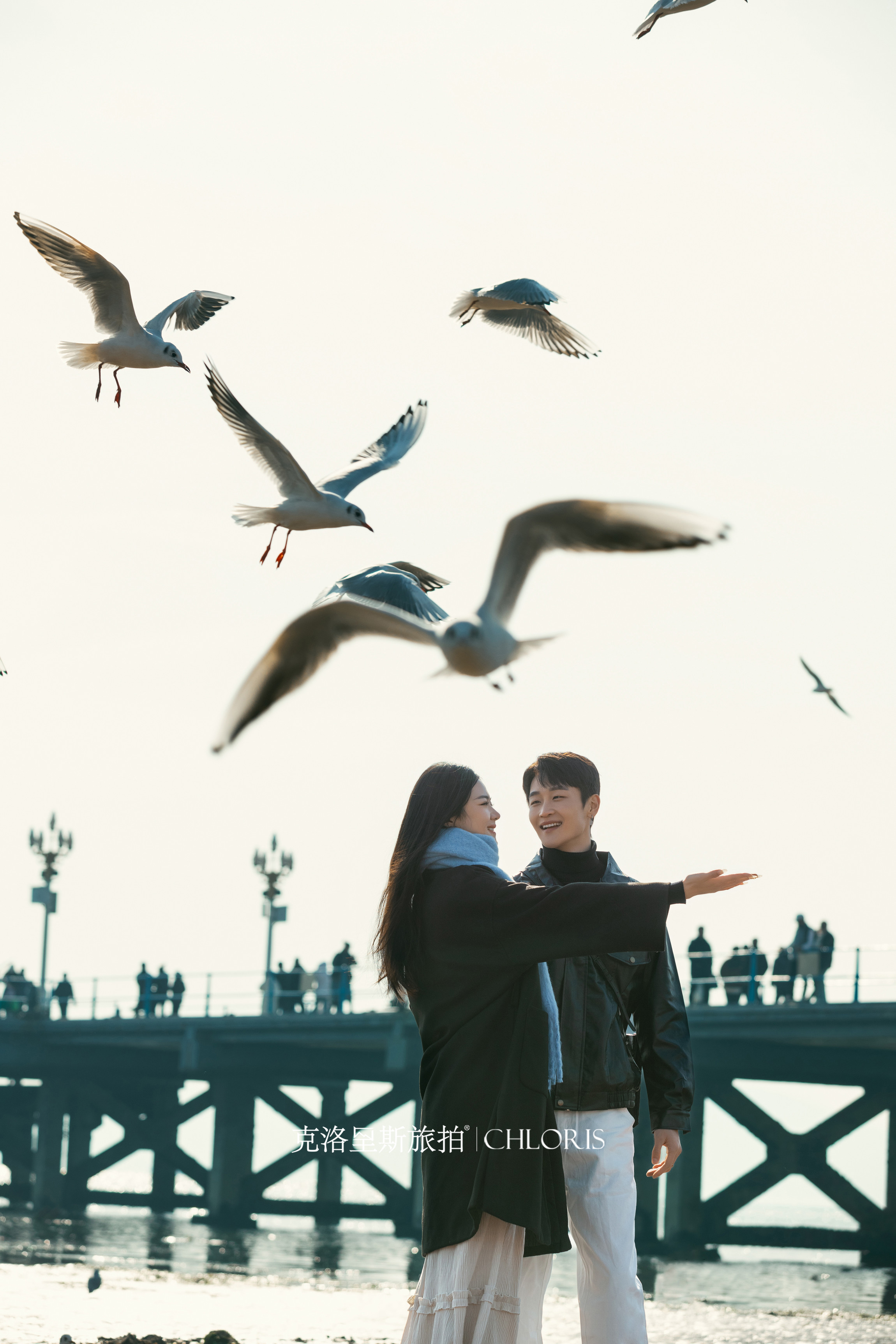 冬季-海鸥婚纱照0